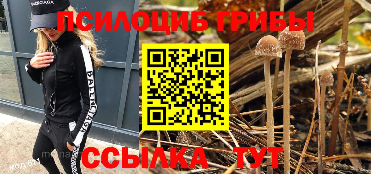 Шатура  Псилоцибиновые грибы мухоморы  Псилоцибиновые грибы ЛСД  купить наркотик  Вход с VPN 