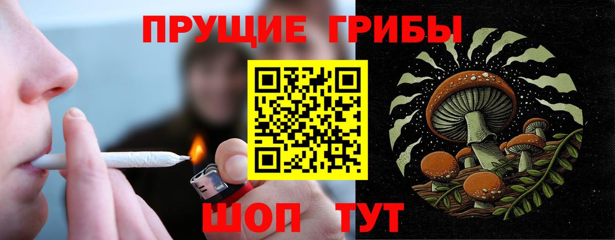 Галлюциногенные грибы прущие грибы Шатура