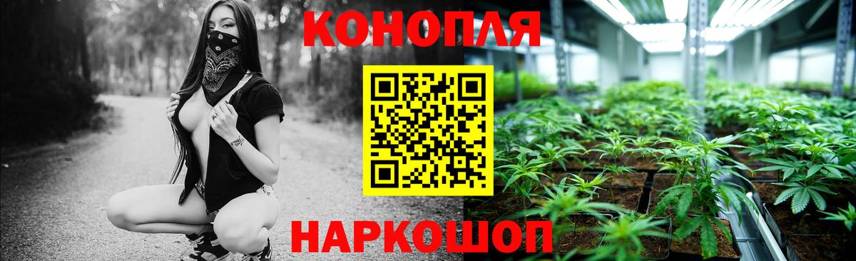 Бошки Шишки AK-47  Марихуана конопля  Конопля семена  Вход с VPN  Шатура 